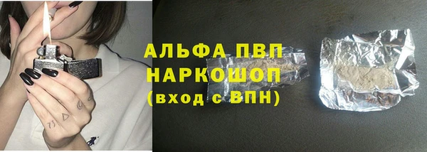 дмт Богданович