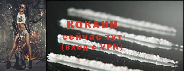 дмт Богданович