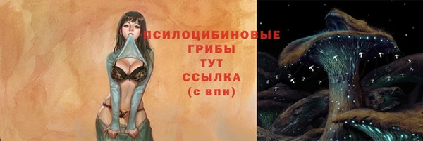 герыч Богородск