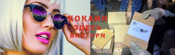 дмт Богданович