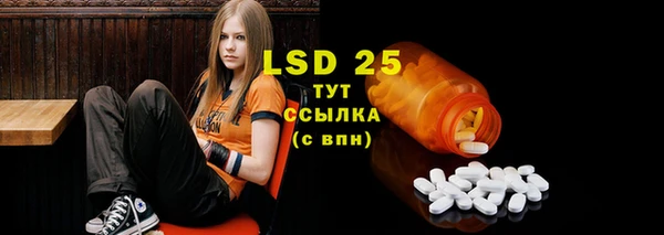 дмт Богданович