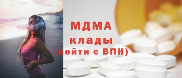 дмт Богданович