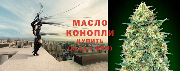 дмт Богданович