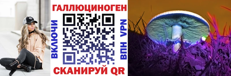 Галлюциногенные грибы GOLDEN TEACHER Трубчевск