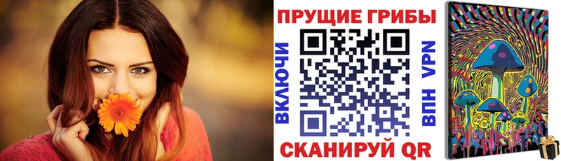 Галлюциногенные грибы Psilocybe  цены наркотик  Трубчевск 
